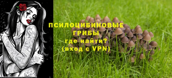 спайс Белокуриха