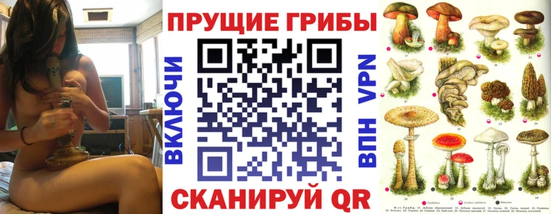 Псилоцибиновые грибы мицелий  дарнет шоп  KRAKEN вход  Сковородино 