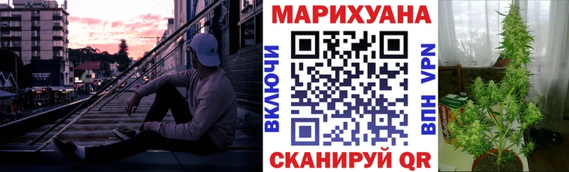 Бошки марихуана THC 21%  купить наркотики сайты  Сковородино 